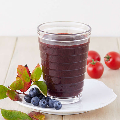 ビタクラフト 真空ブレンダー FRESQO スムージー＆スープレシピブック付き